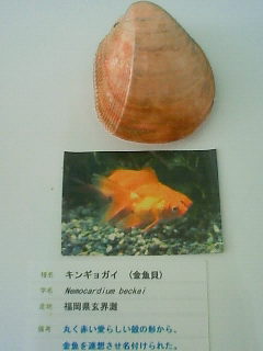 b0094029_08043227.jpg