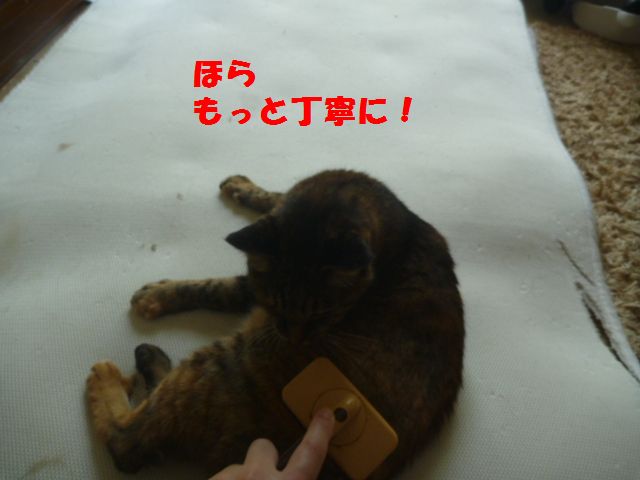 e0142430_23434336.jpg