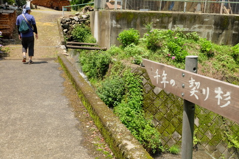 b0281732_7321917.jpg
