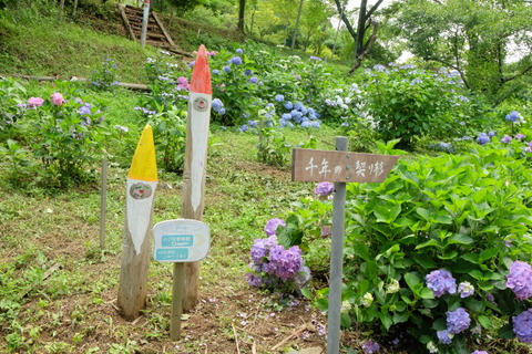 b0281732_7322511.jpg