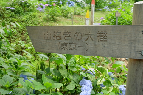 b0281732_7323148.jpg