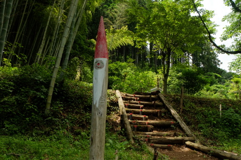 b0281732_7323866.jpg