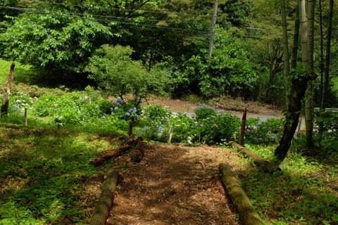 b0281732_7324614.jpg