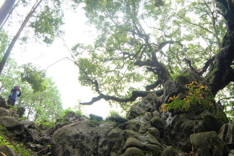 b0281732_7325896.jpg