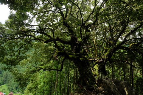 b0281732_7334134.jpg