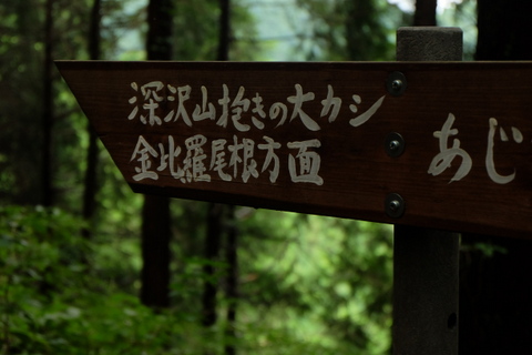 b0281732_7343255.jpg