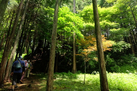 b0281732_7345144.jpg