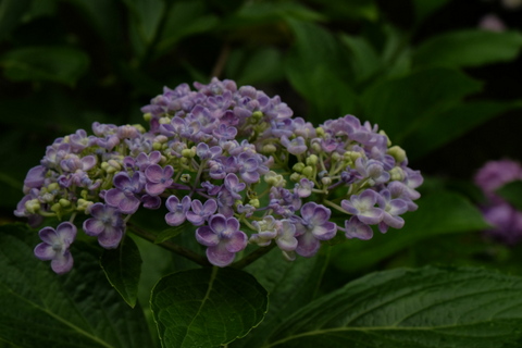b0281732_9113420.jpg
