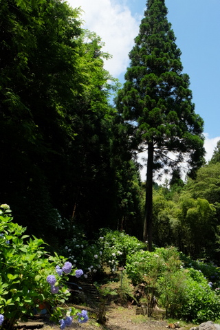 b0281732_9141869.jpg