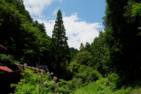 b0281732_9142797.jpg