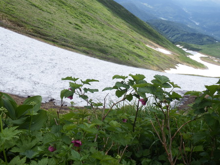 f0118332_210108.jpg