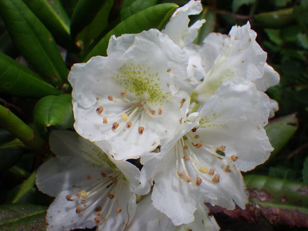 f0118332_2127337.jpg