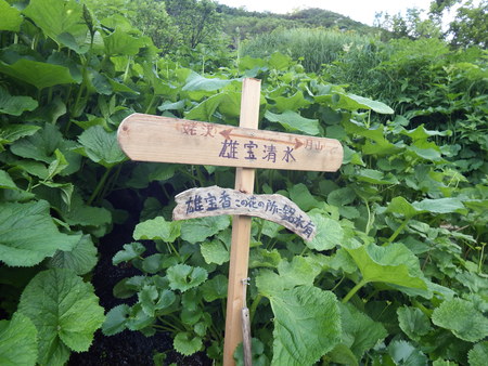 f0118332_21433067.jpg
