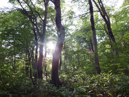 f0118332_21473273.jpg