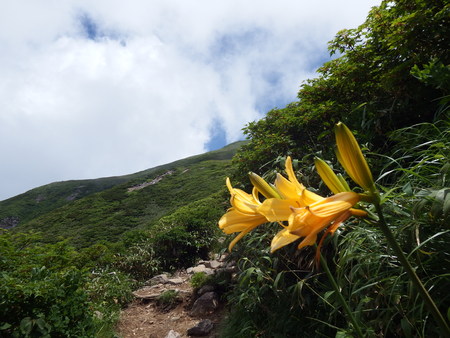 f0118332_215856.jpg