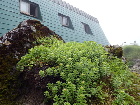 f0118332_216279.jpg