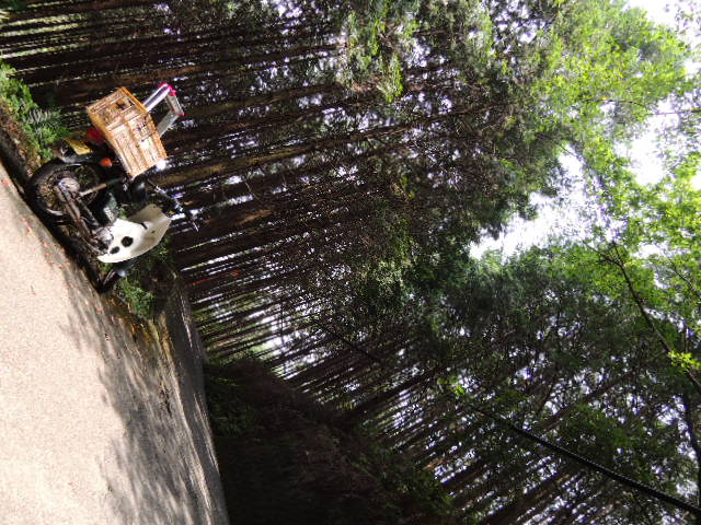 b0134233_13435276.jpg