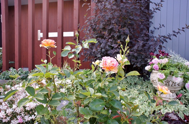 f0205733_21282803.jpg