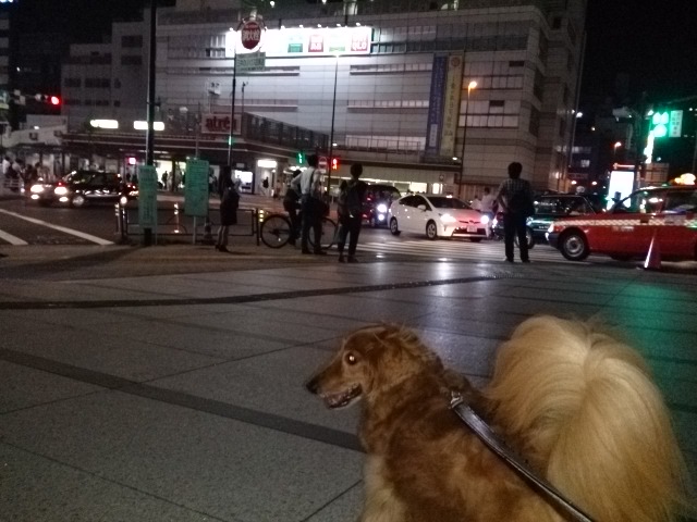 a0306235_1150528.jpg