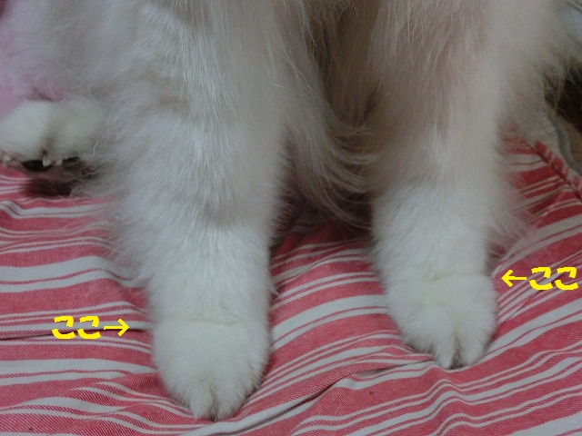 e0196135_16585310.jpg