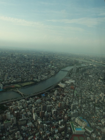 b0199742_2039326.jpg
