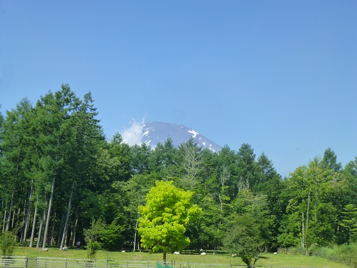 f0107145_15561580.jpg