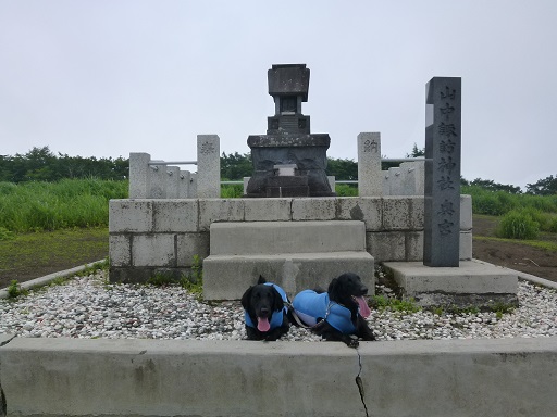 f0107145_16204697.jpg