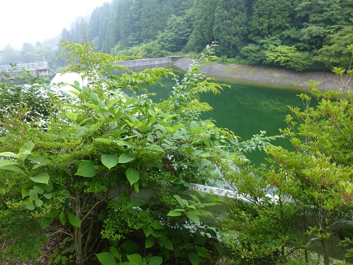 f0107145_16344488.jpg