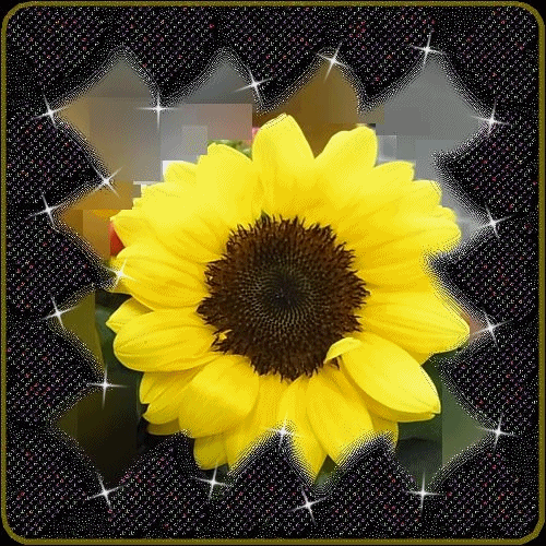 b0133752_15114671.gif