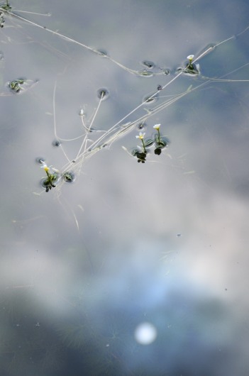 f0297861_20345287.jpg