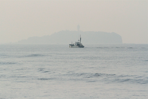 a0157069_812568.jpg