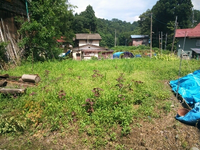 f0056270_19185536.jpg