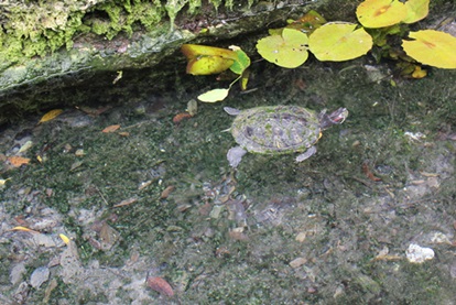 e0203477_10262144.jpg