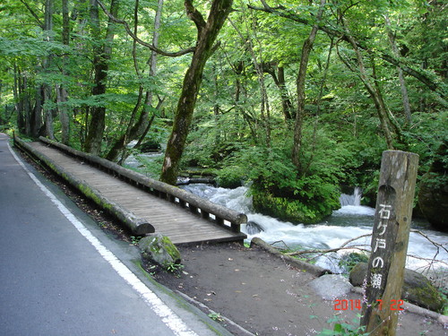 d0165378_12293647.jpg