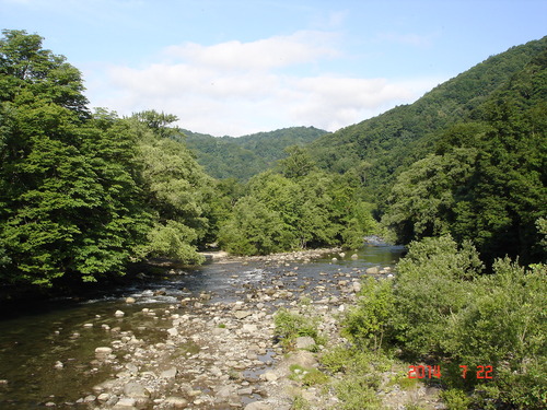 d0165378_1229739.jpg