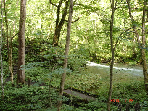 d0165378_123424.jpg