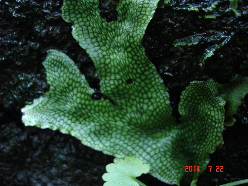 d0165378_1243038.jpg