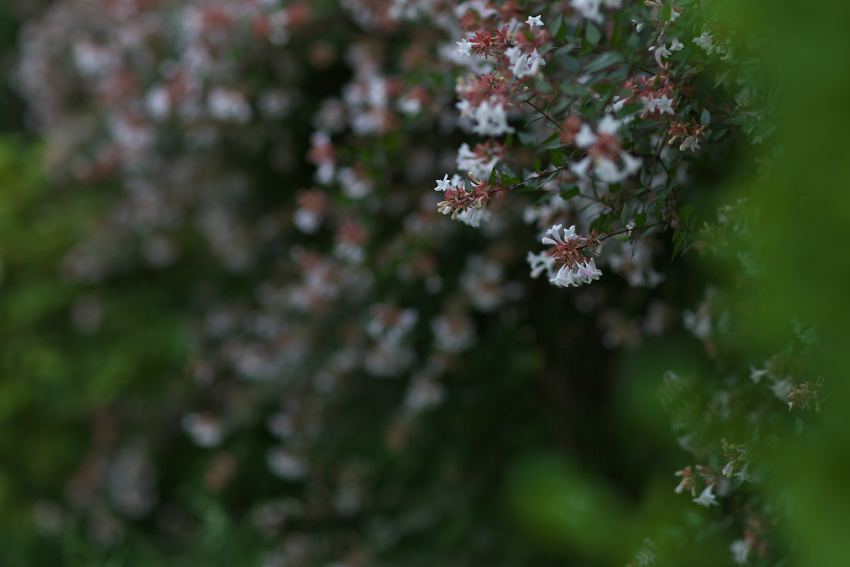 a0083081_19384510.jpg