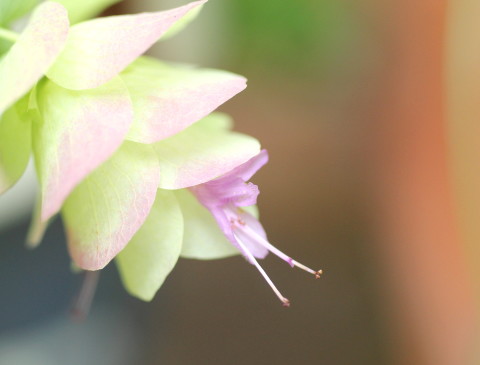 e0154682_21393959.jpg