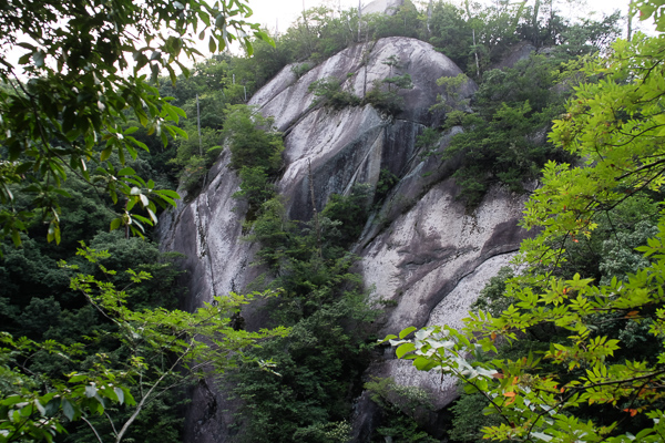 a0053783_2403020.jpg