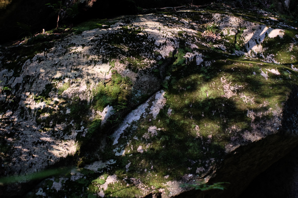 a0053783_2405524.jpg