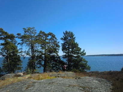 a0066586_21581976.jpg