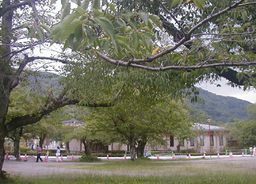d0053294_1728298.jpg