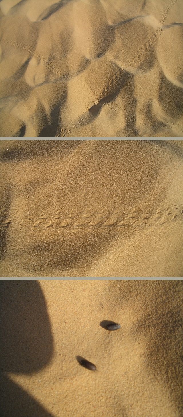 f0346196_08511723.jpg
