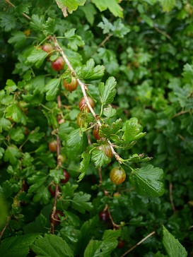b0110999_19124343.jpg