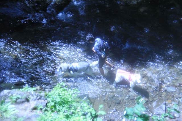 b0207615_23372390.jpg