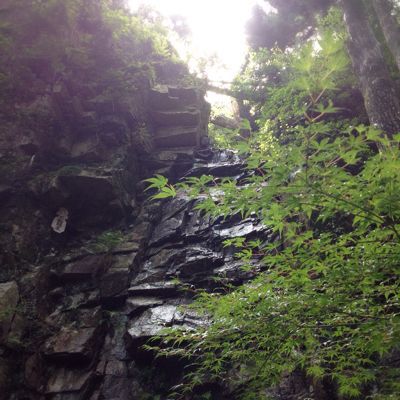 c0175715_15291994.jpg