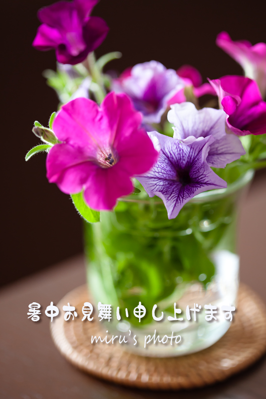c0037519_12595515.jpg