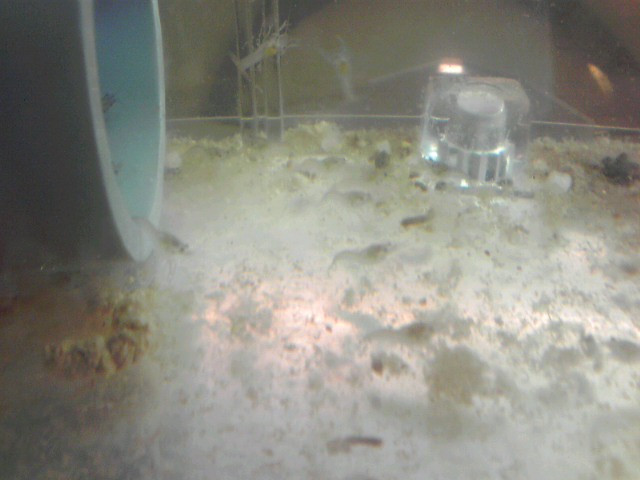 a0291521_919379.jpg
