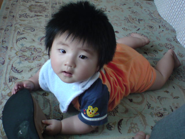 e0016828_1137304.jpg